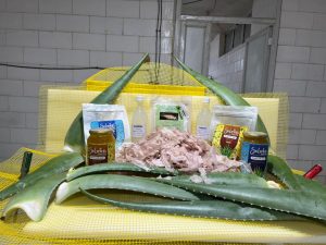 خرید و فروش پرک آلوئه‌ورا در ایران و بازار جهانی