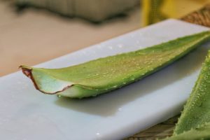 درمان زخم معده با آلوئهورا