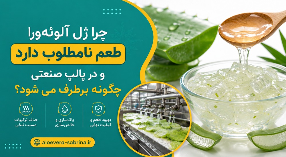 چرا ژل آلوئه‌ورا طعم نامطلوب دارد و در پالپ صنعتی چگونه برطرف می‌شود؟