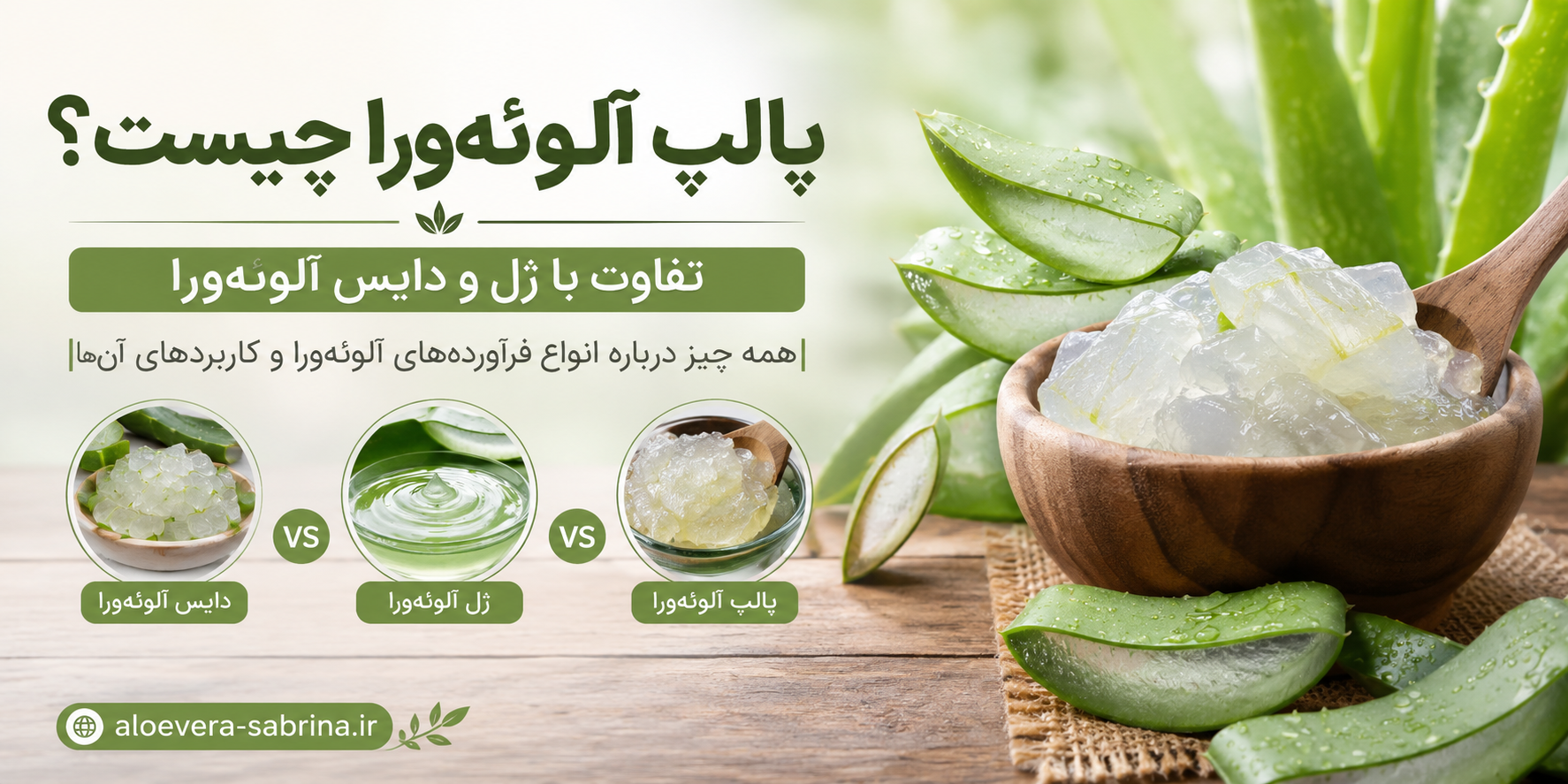 پالپ آلوئه‌ورا چیست؟ تفاوت با ژل و دایس آلوئه‌ورا | صبرینا