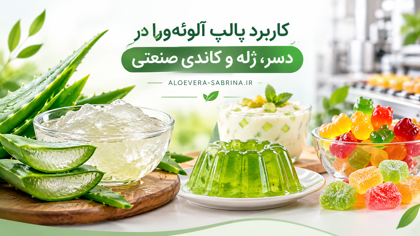 کاربرد پالپ آلوئه‌ورا در دسر، ژله و کاندی